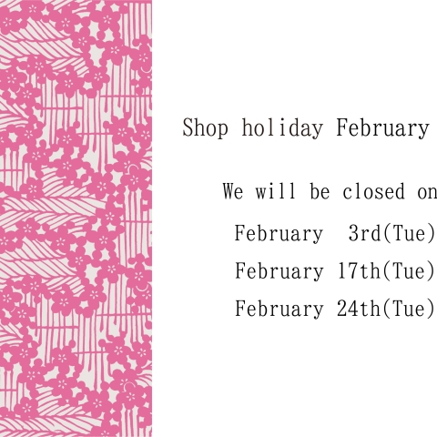 Regular holidays in February