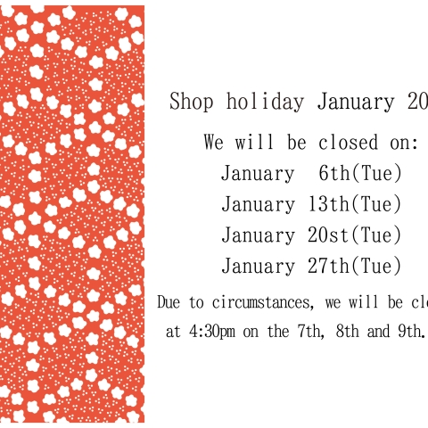 Regular holidays in January